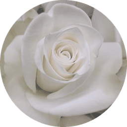 White Rose